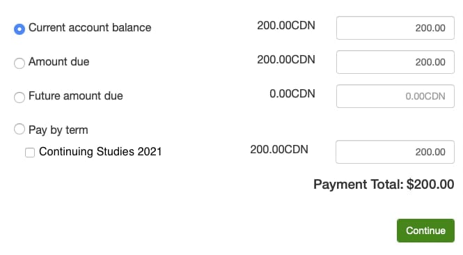 Payment form showing the amounts available to pay