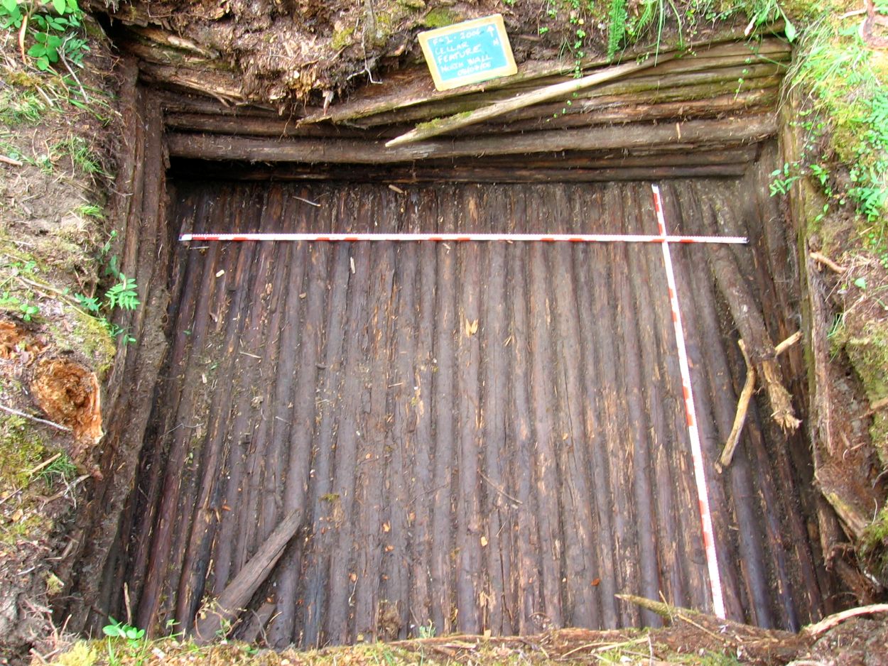 Cellar Feature.