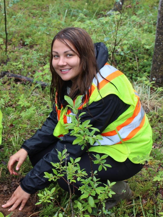 A researcher wearing a neon vest crouching in a forest