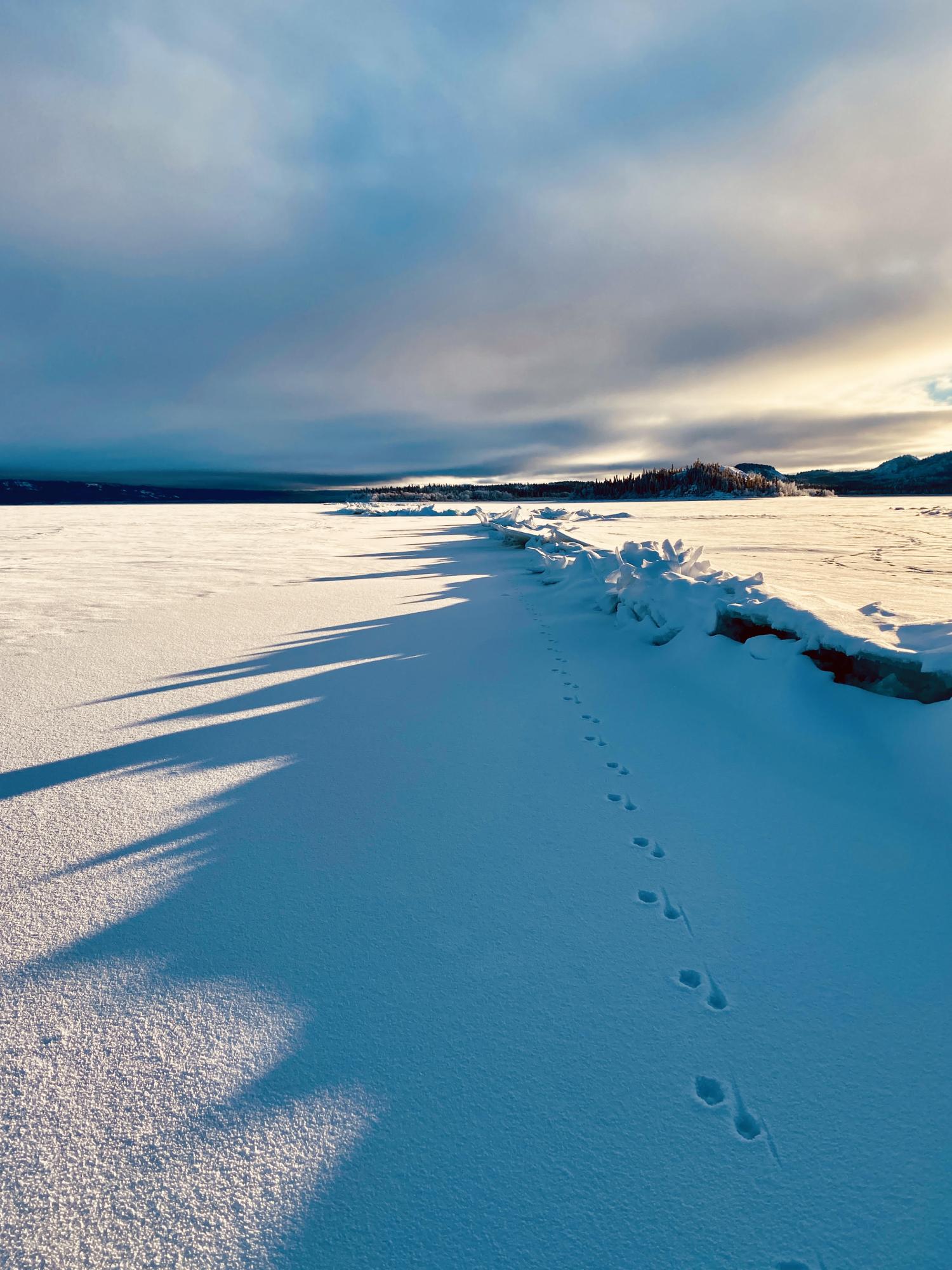 winter scene