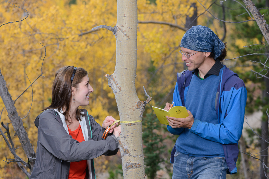 students measuring the circumference of a tree