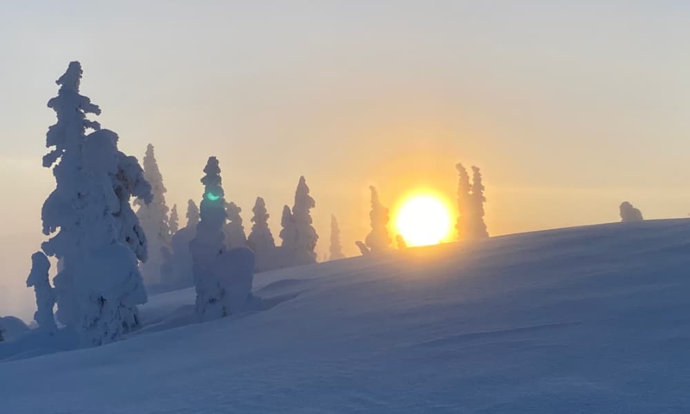 The setting sun shining behind snow covered trees