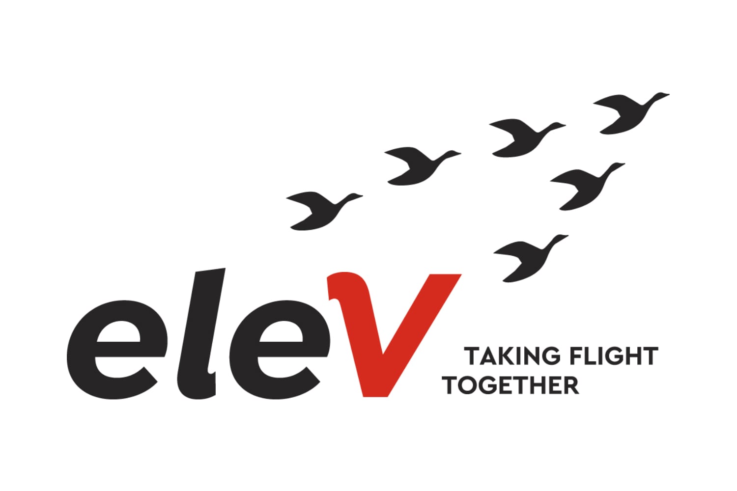 eleV logo