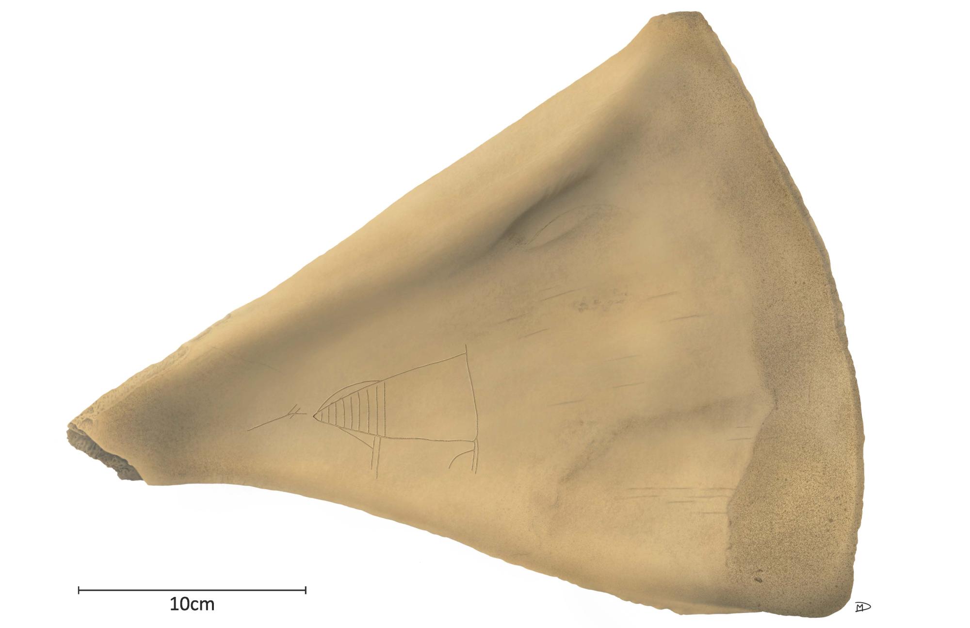 moose scapula with etching