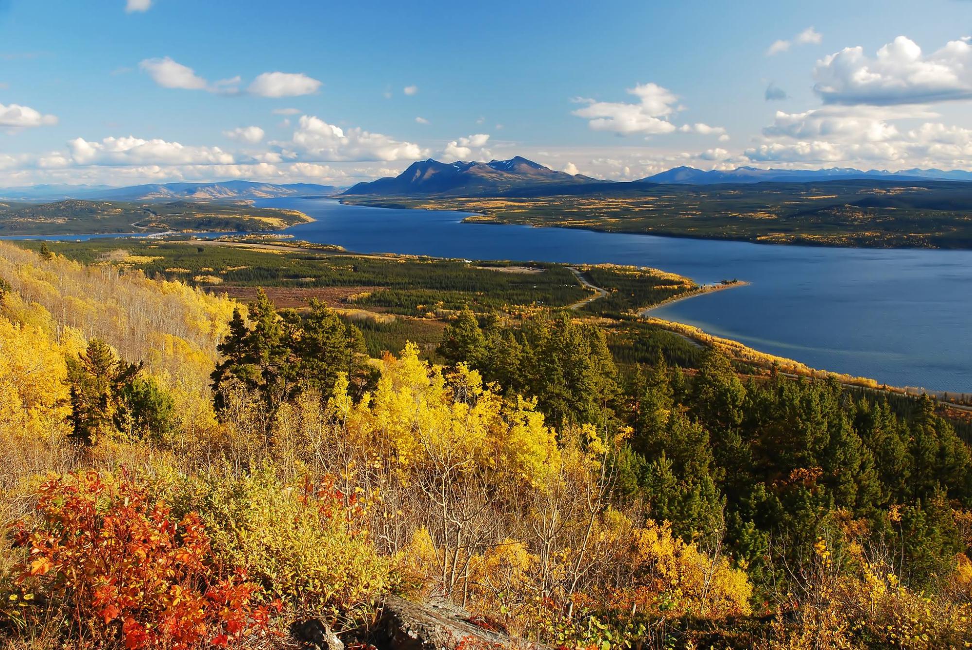Red and yellow trees in autumn along Teslin Lake