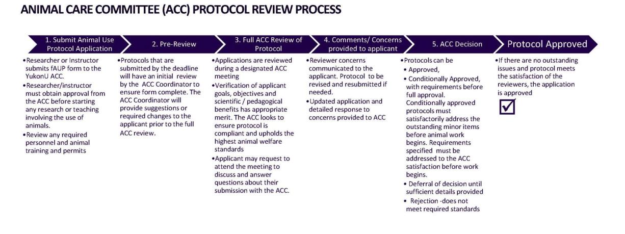 ACC Review Process