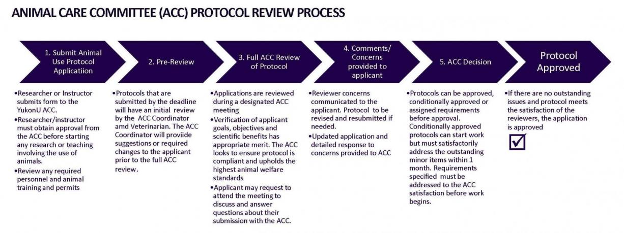 ACC Review Process