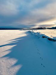winter scene