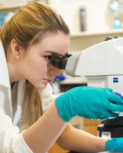 Student looking into a microscope