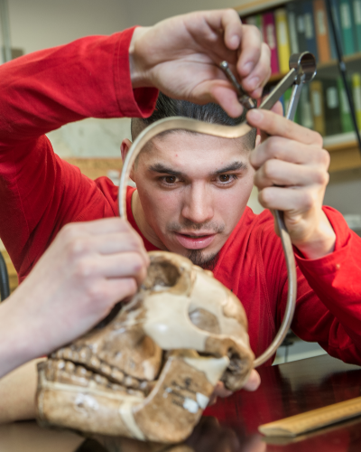 A student takes a measurement of a skull