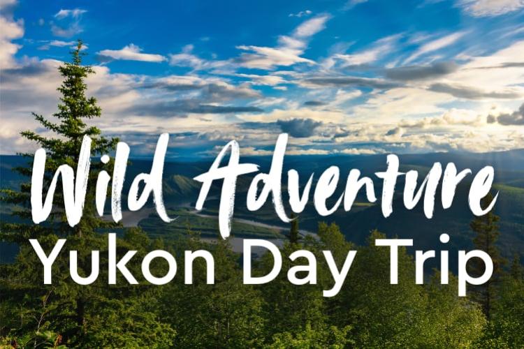 Sprawling Yukon landscape. Text overlay that reads "Wild Adventure Yukon Day Trip".