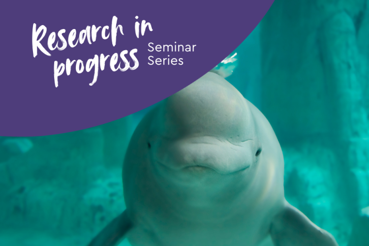 Research in Progress Seminar Series