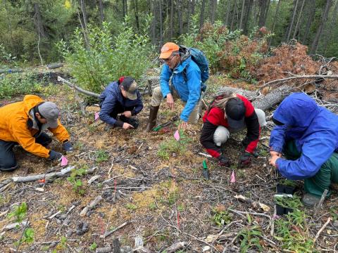 Students in brightly coloured jackets crouching in a forest