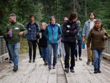 Yukon Native Teacher Education Program (YNTEP) orientation students on a walk with educator Darlene Scurvy exploring the traditional medicines found along the Wolf Creek trails.